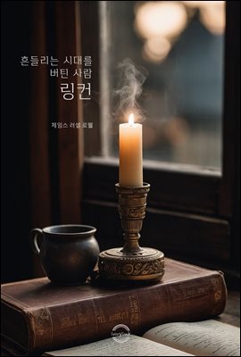 흔들리는 시대를 버틴 사람, 링컨