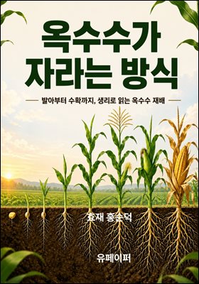 옥수수가 자라는 방식