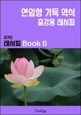 이거슨 레시피 BOOK 6 (연잎향 가득 약식)