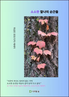 소소한 찰나의 순간들
